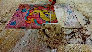 Extremely dirty carpet cleaning satisfying rug cleaning ASMR [upl. by Attirb]