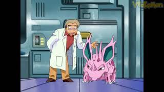 Nidorino attacks Professor Oak  Professor Oak Funny Moments [upl. by Amadis199]