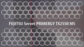 PRIMERGY TX2550 M5 Fujitsu [upl. by Gurl]