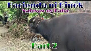 EP514 Hacienda ni Binok Nalusaw ng Baha Part2 [upl. by Sallie]