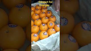 oranges orange fruit recipe trending [upl. by Navaj]