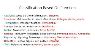 Proteins Classification Levels amp Properties  Lecture 4b [upl. by Kimberli]