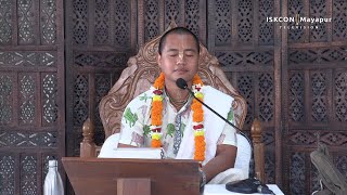 Srimad Bhagavatam Text  3929 Speaker  HG Vishnurat Das [upl. by Amoreta]