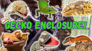 How to set up a gecko enclosure [upl. by Nerral557]