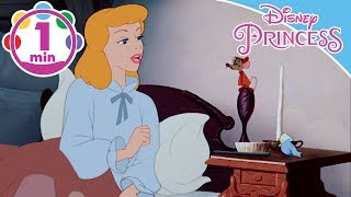 Disney Princess  Cenerentola  Canta Con Noi  quotI sogni son desideriquot [upl. by Hairim230]