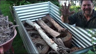 How To Hügelkultur AMAZING Grow Method For Raised Beds Vegetable Gardens  Organic amp Cheap [upl. by Silvana]