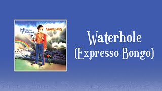 Marillion  Waterhole Expresso Bongo sanoitukset [upl. by Silvano]