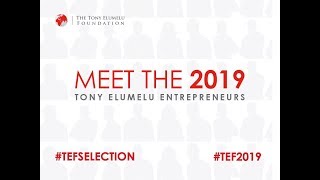 MEET THE 2019 TONY ELUMELU ENTREPRENEURS TEF2019 [upl. by Nylednarb]