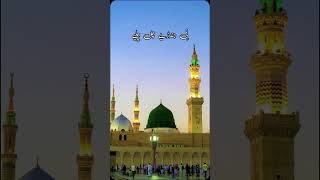 jithy madni da dera hy ne jindrye chal chalye naat statusnew naat status [upl. by Aiuqat178]