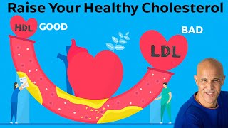 How to Raise Your Healthy Cholesterol HDLs to Clean Those Arteries  Dr Mandell [upl. by Brackett]