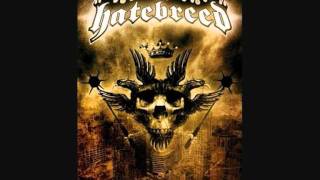 02 Hatebreed  Perseverance Live DOMINANCE [upl. by Nylavad]