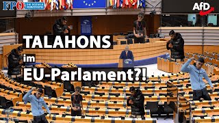 Talahons im EUParlament [upl. by Amaris]