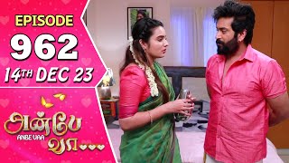 Anbe Vaa Serial  Episode 962  14th Dec 2023  Virat  Delna Davis  Saregama TV Shows Tamil [upl. by Eromle]