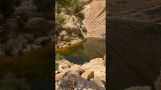 Red Rock National Recreation Area  Calico Tanks Trail Nevada redrock nature nevada [upl. by Anitsirk]