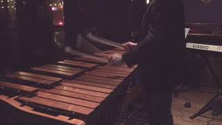 JS Bach  Lute Suite in E minor BVW 996 on marimba [upl. by Aihsenod]