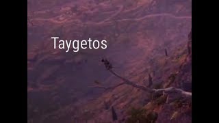 Assassins Creed Odyssey  Taygetos Overlook  Lakonia  synchronization [upl. by Taveda]