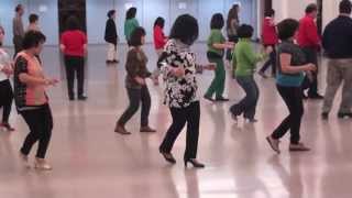 Line Dance CARINITO [upl. by Ellette]