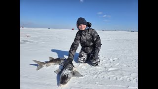 2nd Sturgeon 2024 Lake Winnebago Sturgeon Spearing Season [upl. by Kallman]