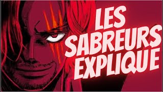 Le Guide COMPLET des Épéistes dans One Piece [upl. by Enner]