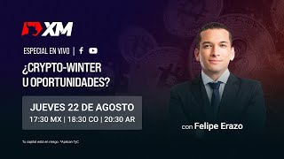 Â¿Cryptowinter u oportunidades [upl. by Emeric965]