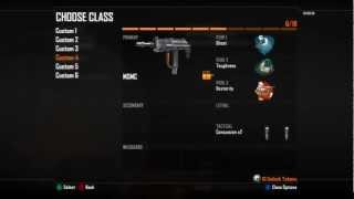 Black Ops 2 Weapon Prestige Explained [upl. by Euqinad]