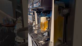 Foamy Beer Pour Silverkris Lounge Singapore Changi Airport Morning Sep 2024 [upl. by Scheer307]