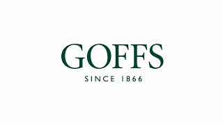 Goffs UK  Spring Store Sale 2022 Day 1 [upl. by Zuleika385]