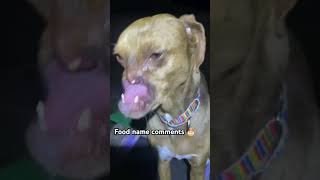 Food name commentscomment food name dog views song love [upl. by Netloc954]