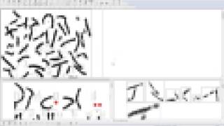 MetaClass Karyotyping [upl. by Egroj]