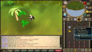 Recipe For Disaster Quest Guide  Awowogei Monkey Ambassador  With Commentary  RuneScape [upl. by Jeffry836]