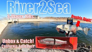 River2Sea SWaver  Unbox amp NEW PB Striped Bass Catch California Aqueduct 2022 [upl. by Hike869]