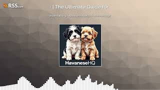 Understanding Separation Anxiety in Havanese Dogs [upl. by Naliorf]