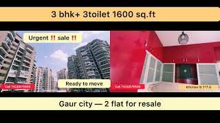 Gaur city 2 Pristine Avenue  3bhk 1600 sqft ready to move flat available for sale  resale [upl. by John]