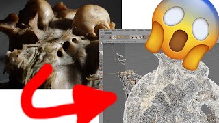 Photogrammetry3D Scan Convert Video in 3DObject with Meshroom and ffmpeg [upl. by Ibib]