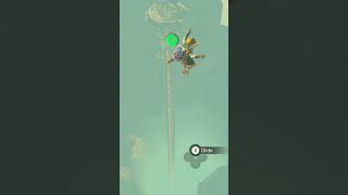 Final tower again zelda zeldabotw gamer gaming videogame tearsofthekingdom viralvideo lol [upl. by Haldes648]