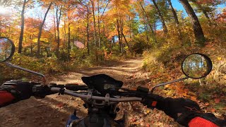 Enduro Ride – Fall Color Chestnut Mt [upl. by Melissa]