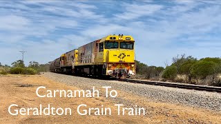 AURIZON Grain Train at Three Springs 02112024 [upl. by Neeron]