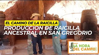 Producción de Raicilla Ancestral en San Gregorio Mixtlán Jalisco [upl. by Isiah]