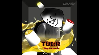 TUIR Review [upl. by Notlil]