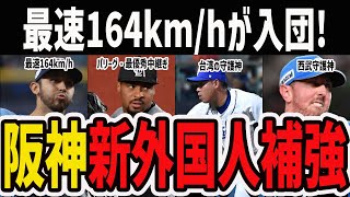 【最速164kmhが入団！】阪神新外国人ハビー・ゲラ選手の解説amp今オフ獲得するべき外国人助っ人候補を紹介！ [upl. by Mosi]