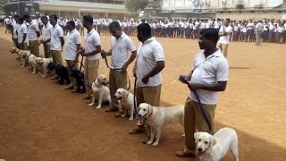 Dog Squad of kerala policeDog Squad Dog Training ClassesHow to Train Your Dog [upl. by Fuchs]