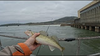 Dam Fishing Walleye at Last [upl. by Sirenay]