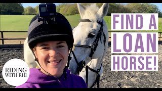 HOW TO FIND A HORSE TO LOAN How I found Ted  My Tips For Where To Look UK Equestrian YouTuber [upl. by Atipul]