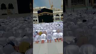 Zameen puchti hai namazi Kahan haibeautiful scene baitullah Sharif in namazyoutubeshortssorts [upl. by Cher736]