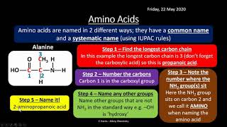 AQA 313 Amino Acids Proteins and DNA REVISION [upl. by Cindy]