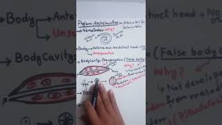 Phylum Aschelminthes  Nematodes Fsc part 1  NEET MDCAT lecture in urdu  Hindi [upl. by Alrahs]