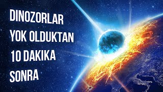 Dinozorların Nesli Tükendikten 10 Dakika Sonra Neler Olduğunu İzleyin [upl. by Atenahs]