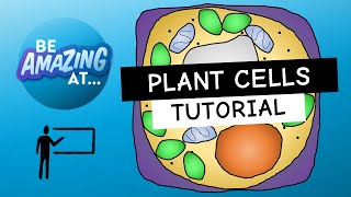 WATCH THIS before you revise plant cells  Biology GCSE AQA Edexcel OCR KS3 ICSE Board exams [upl. by Ynnam]