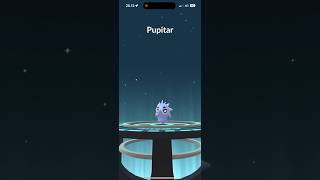 Pokemon GO  Larvitar evolve Pupitar iPhone 15 Pro Max Pokémon GO mmtopokemongo [upl. by Chev]