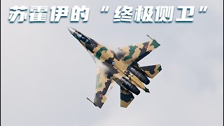 【俄方回憶錄】當Su35遇上“南霸天”，你們這什麼破飛機。續八 [upl. by Ajiram]